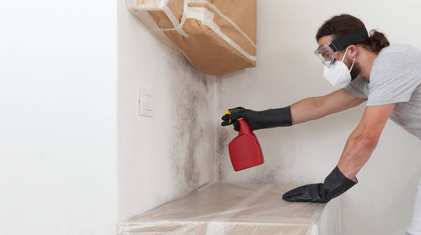 Professional Basement Mold Removal technician working in Deal, NJ