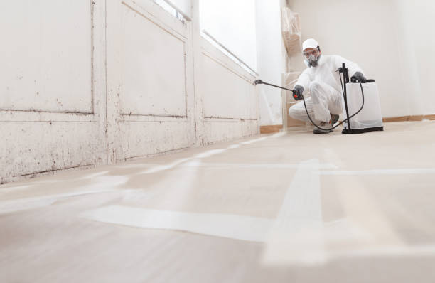 24/7 Emergency Basement Mold Removal experts in Deal, NJ